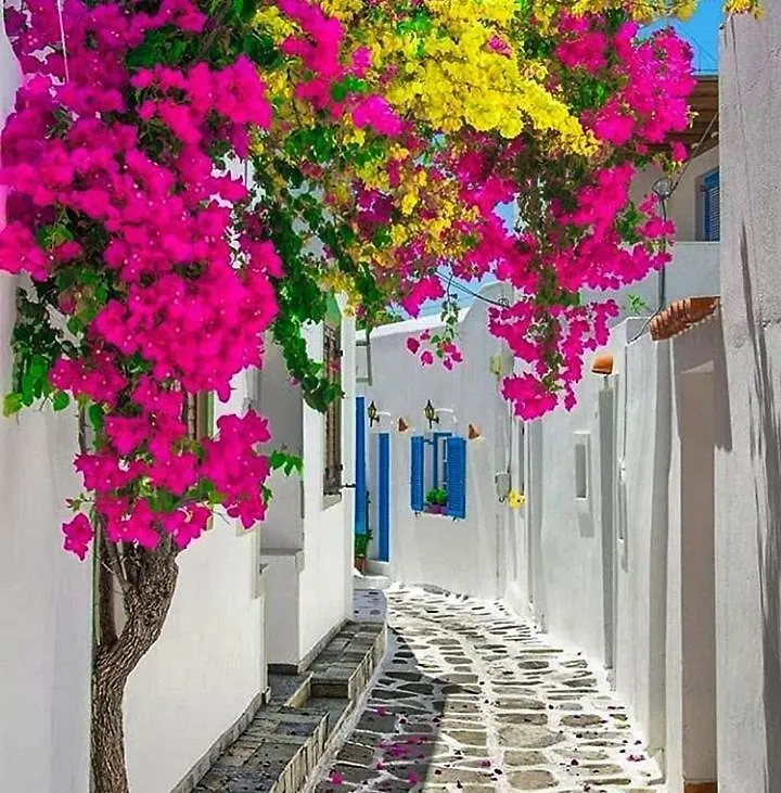 شقة Melina'S House Mykonos Town اليونان